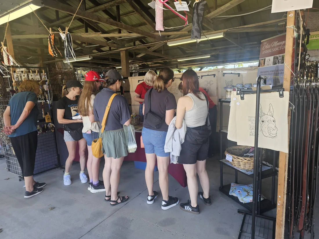 Shoppers browsing handmade goods at a TAMS Sanctuary fundraiser market stall